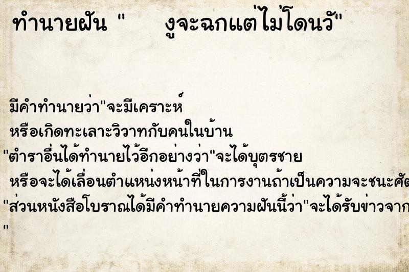 ทำนายฝันทำนายฝันงูจะฉกแต่ไม่โดนวั